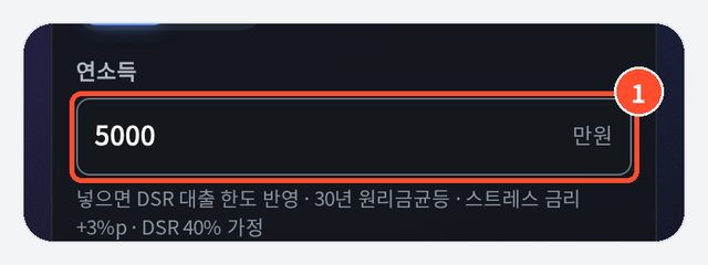 ① 연소득 5000 입력